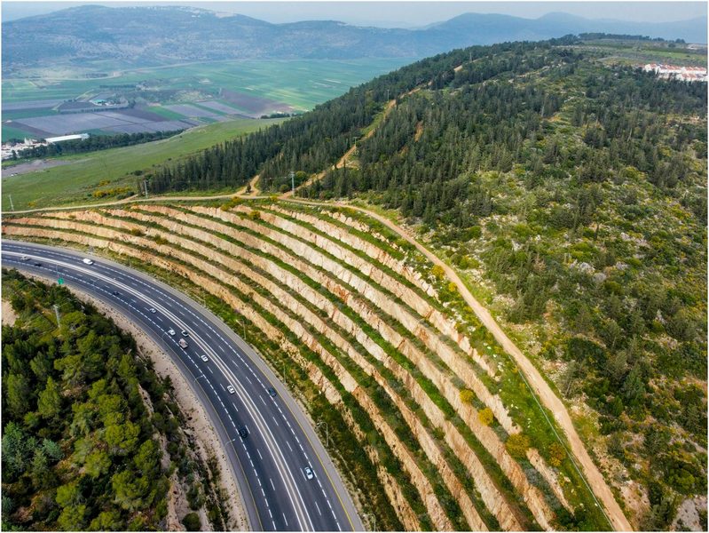 Viagem de Carro para Campos do Jordão: Rotas Seguras, Pedágios e o que Ninguém Avvisa Sobre a Serra