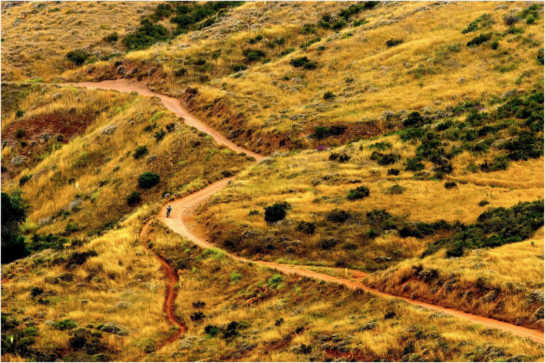 Motorbike rider explores winding dirt path through golden grassy hills.